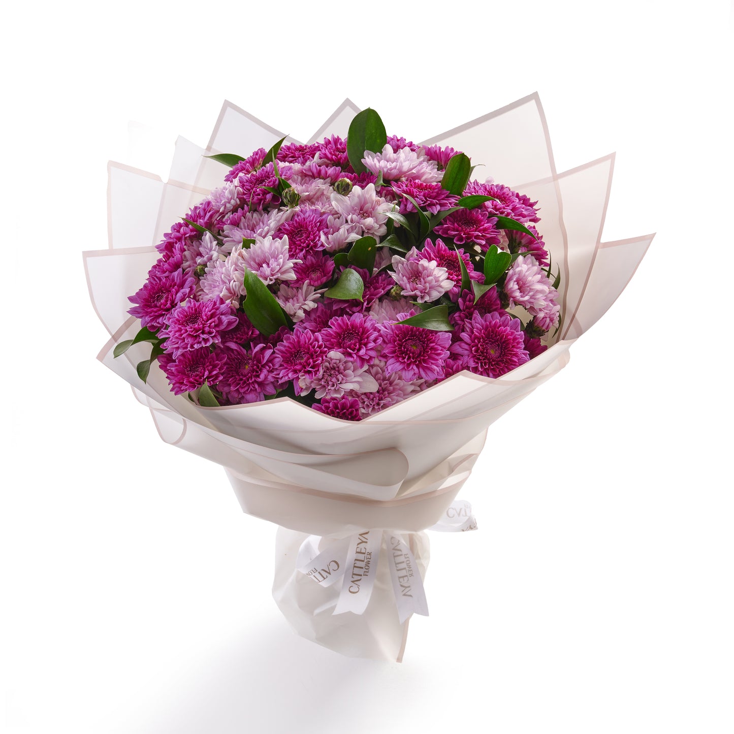 Danta Purple
