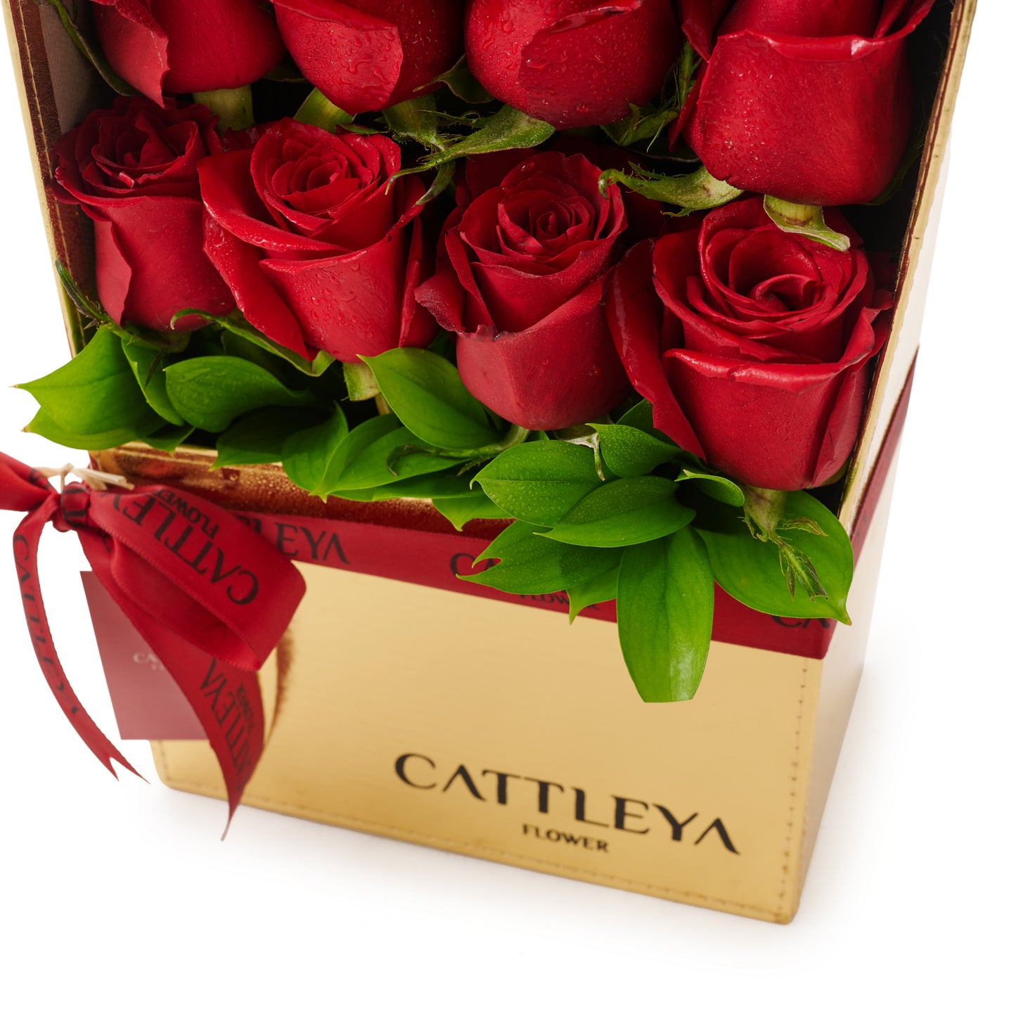 Velvet Rose