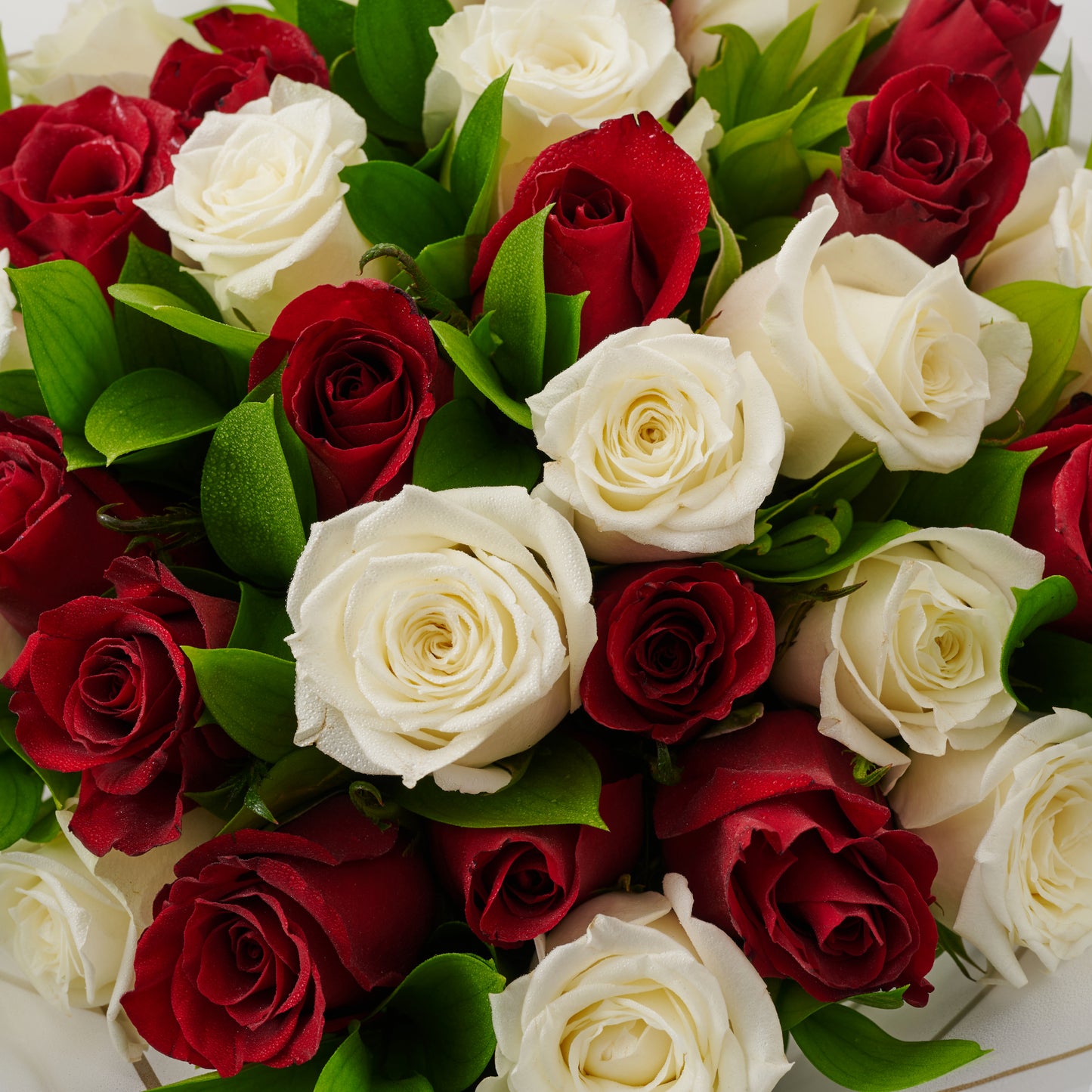 Rose Élite