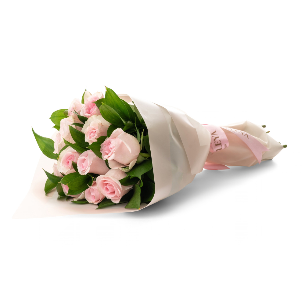 Soft Pink Roses