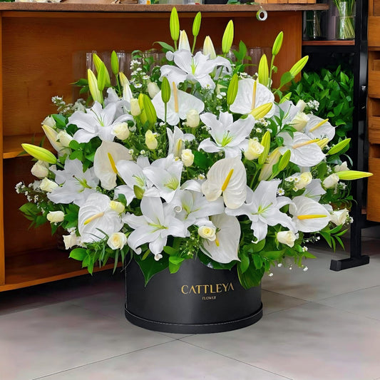 Ivory Elegance