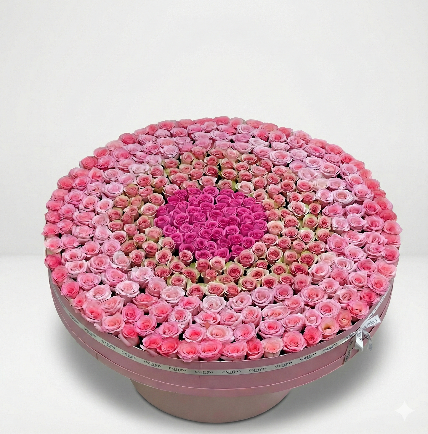 000   Majestic Rose Symphony