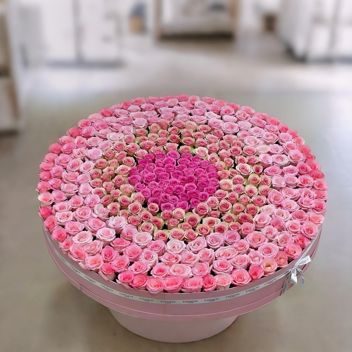 000   Majestic Rose Symphony