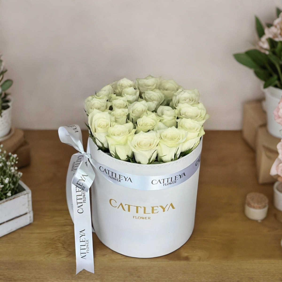 White Reverie White Reverie – Cattleya Flowers