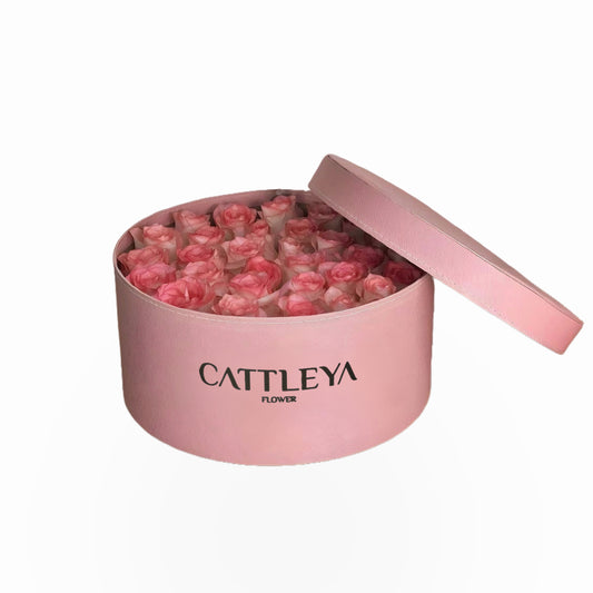 Velvet Blush